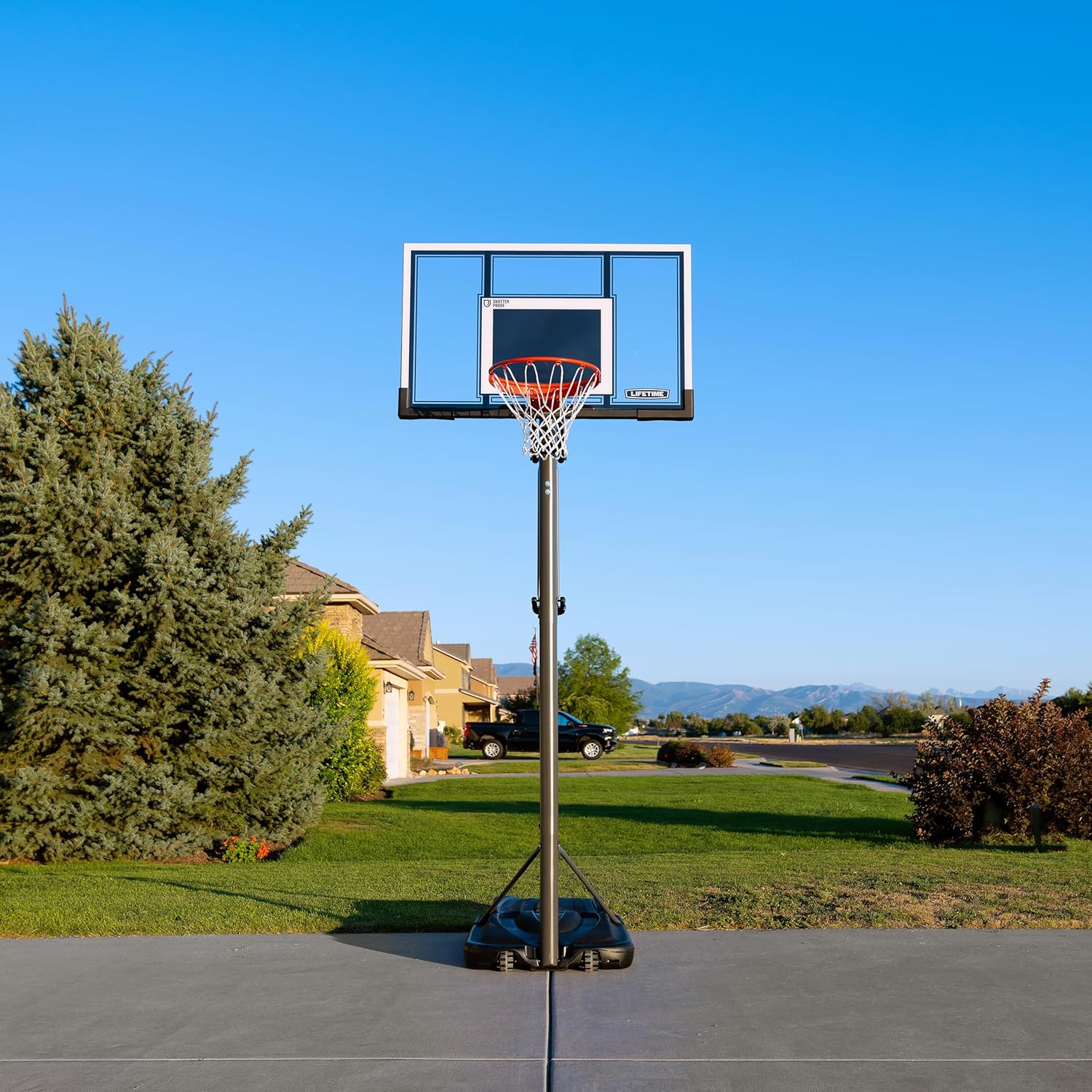 Lifetime Adjustable Portable Basketball Hoop (54-Inch Polycarbonate)